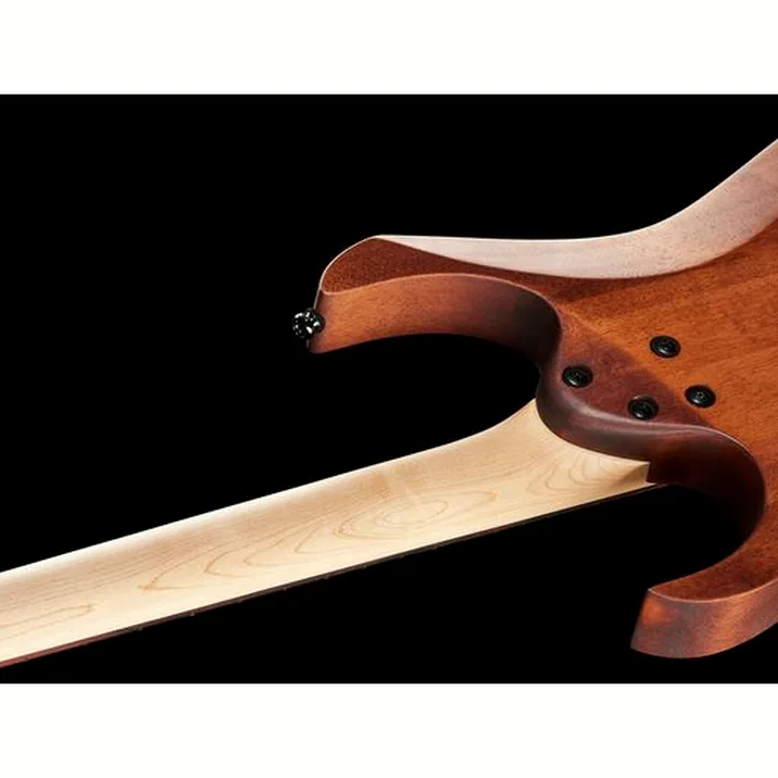 Ibanez Rg421 Mol