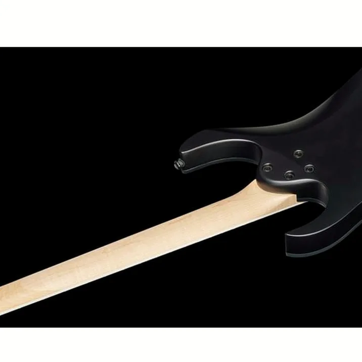 Ibanez Rg421Ex Tcm
