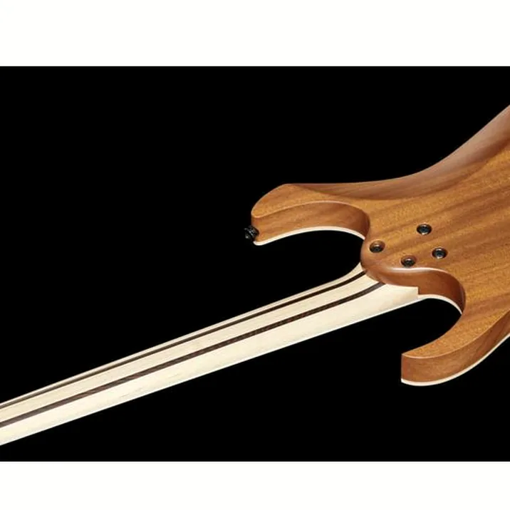 Ibanez Rg5121 Bcf