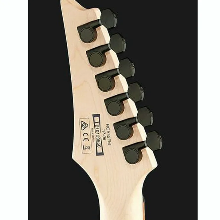 Ibanez Rga42Fm Def