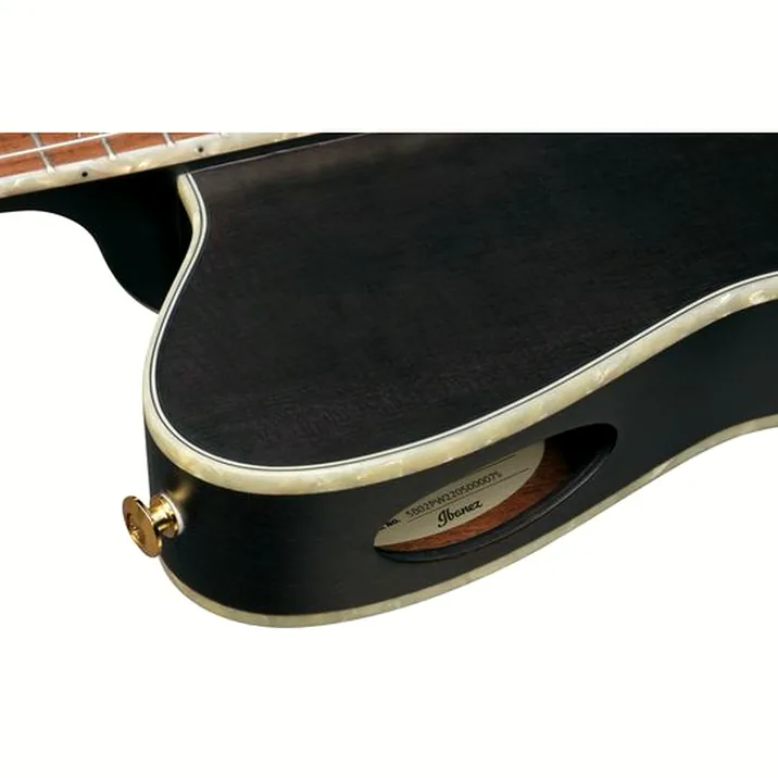 Ibanez Signature Tim Henson Tod10N