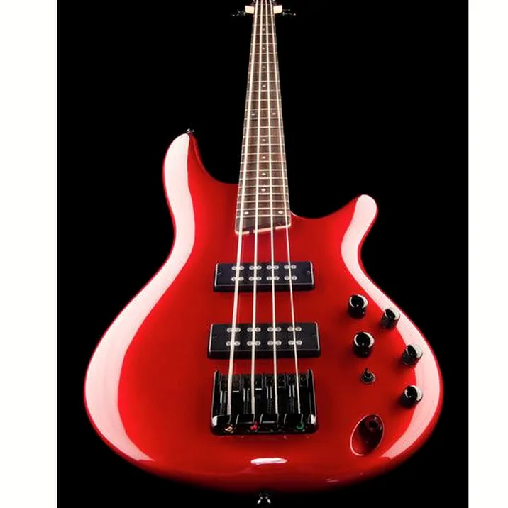 Ibanez Sr300Eb Ca