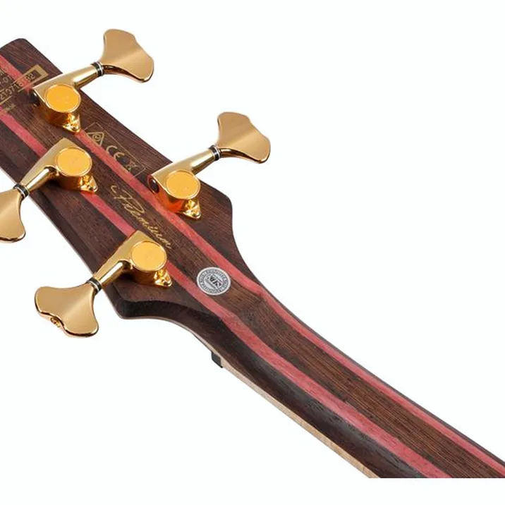 Ibanez Sr4Fmdx Egl