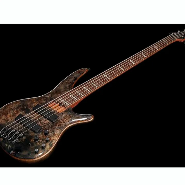 Ibanez Srms805 Dtw Workshop