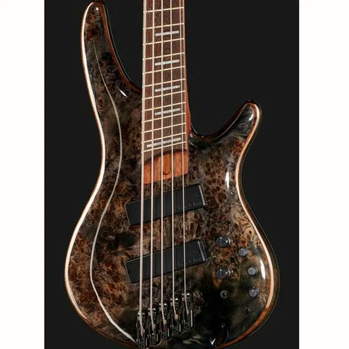 Ibanez Srms805 Dtw Workshop