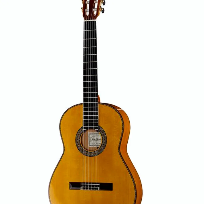 Juan Hernandez Flamenca Profesional SP