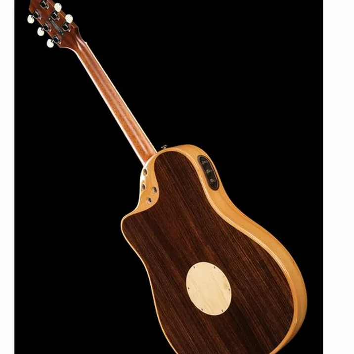 L.R.Baggs AEG 1 E- Acoustic Natural
