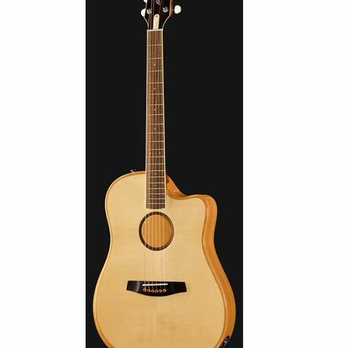 L.R.Baggs AEG 1 E- Acoustic Natural