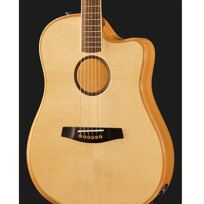 L.R.Baggs AEG 1 E- Acoustic Natural