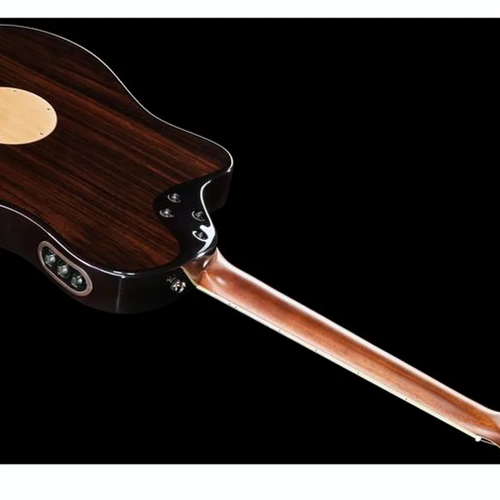 L.R.Baggs AEG 1 E- Acoustic Sunburst