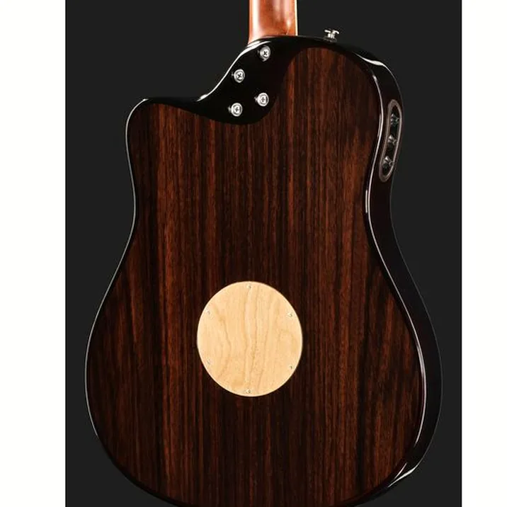 L.R.Baggs AEG 1 E- Acoustic Sunburst