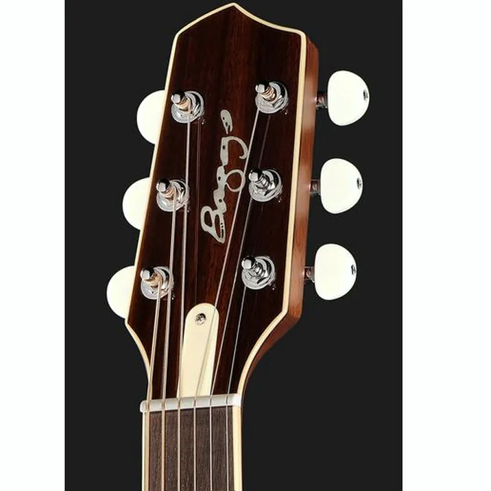 L.R.Baggs AEG 1 E- Acoustic Sunburst
