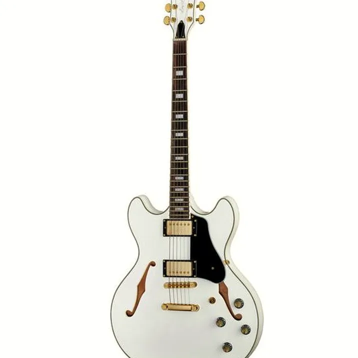 Larry Carlton H7 WH