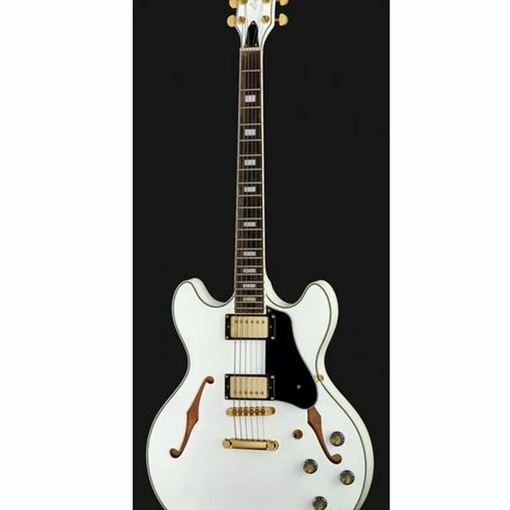 Larry Carlton H7 WH
