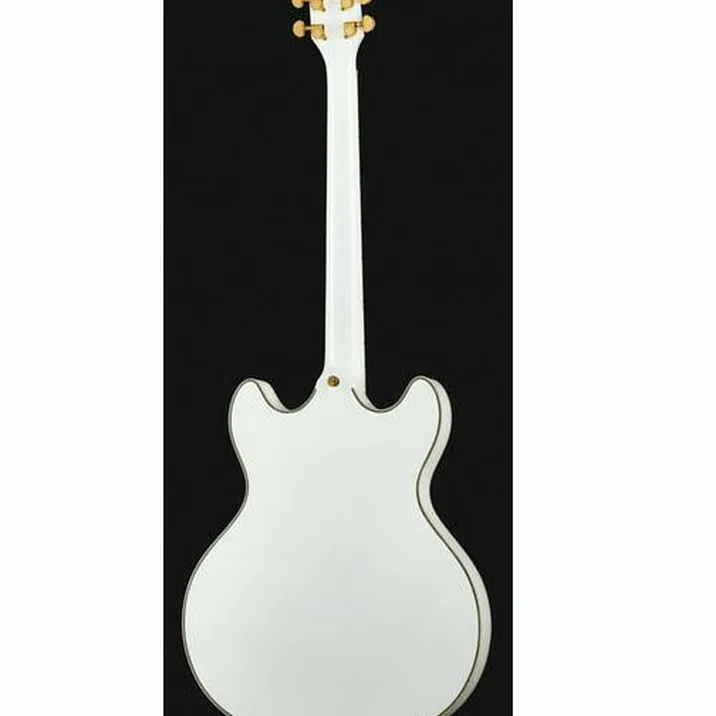 Larry Carlton H7 WH