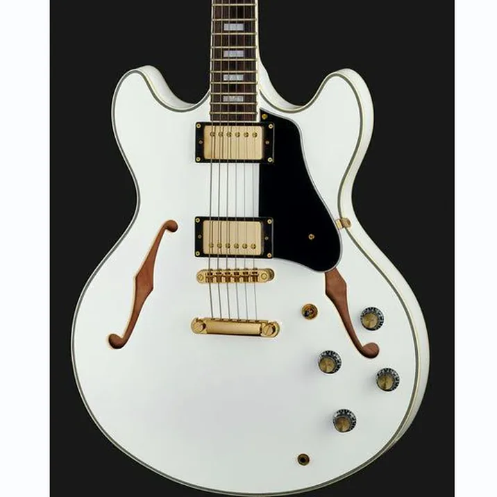 Larry Carlton H7 Wh