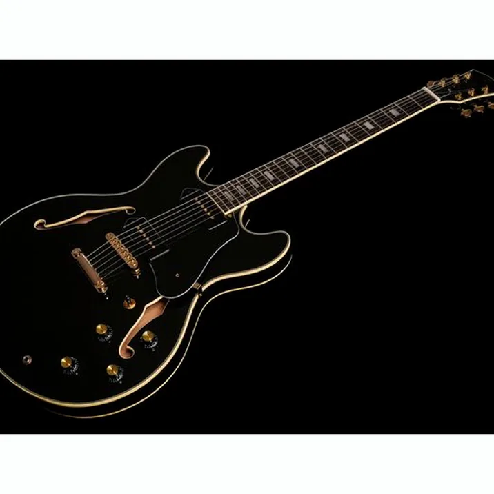 Larry Carlton H7V Bk