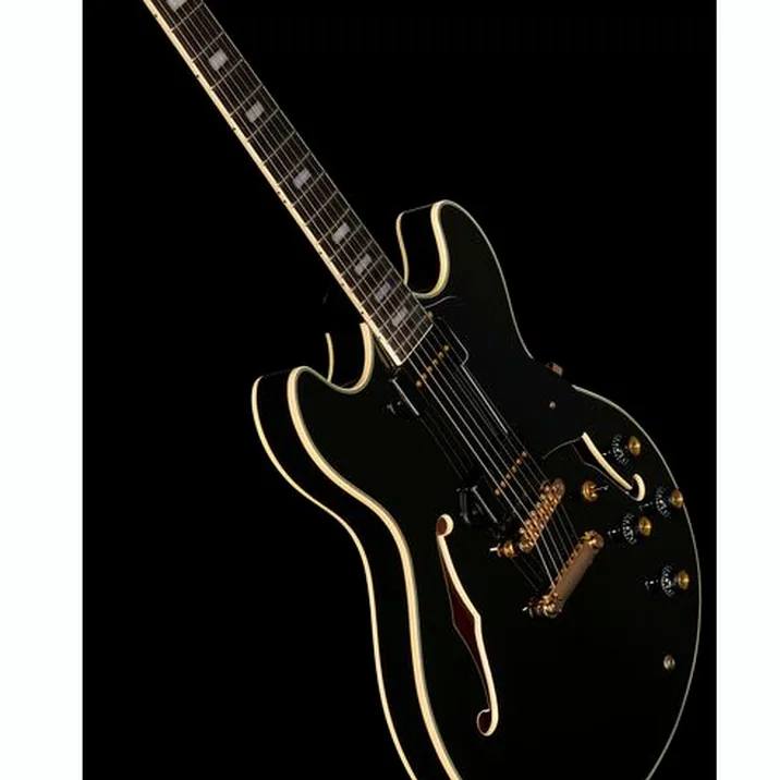Larry Carlton H7V Bk