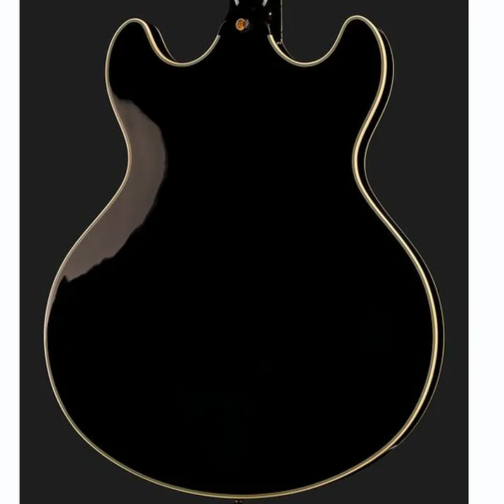 Larry Carlton H7V Bk