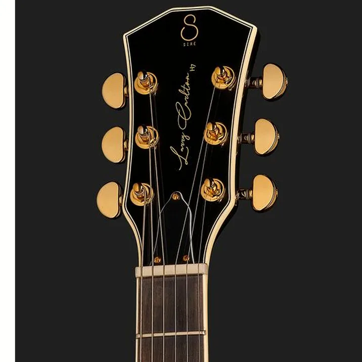 Larry Carlton H7V Bk