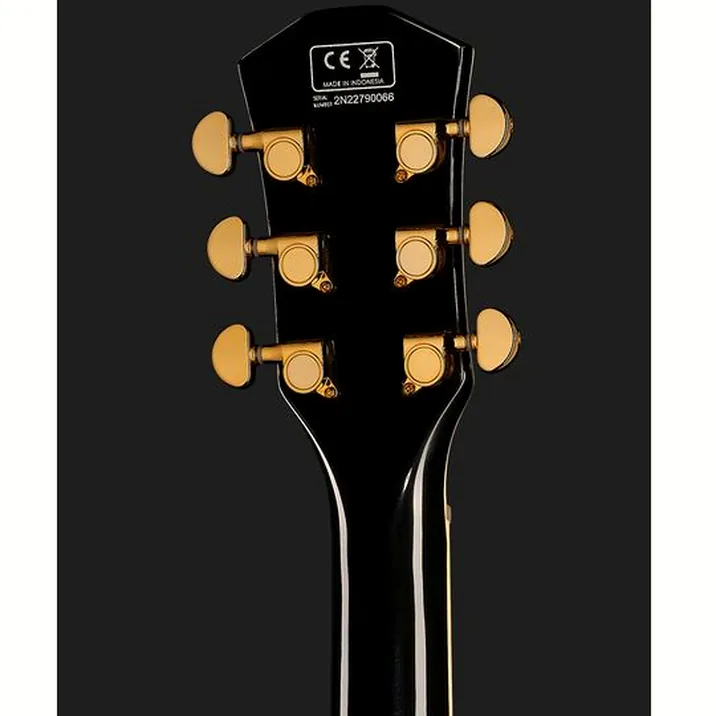 Larry Carlton H7V Bk