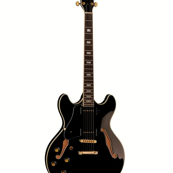Larry Carlton H7V BK LH
