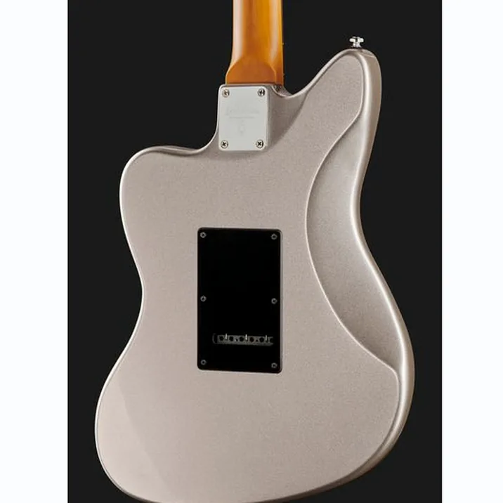 Larry Carlton J3 Silver