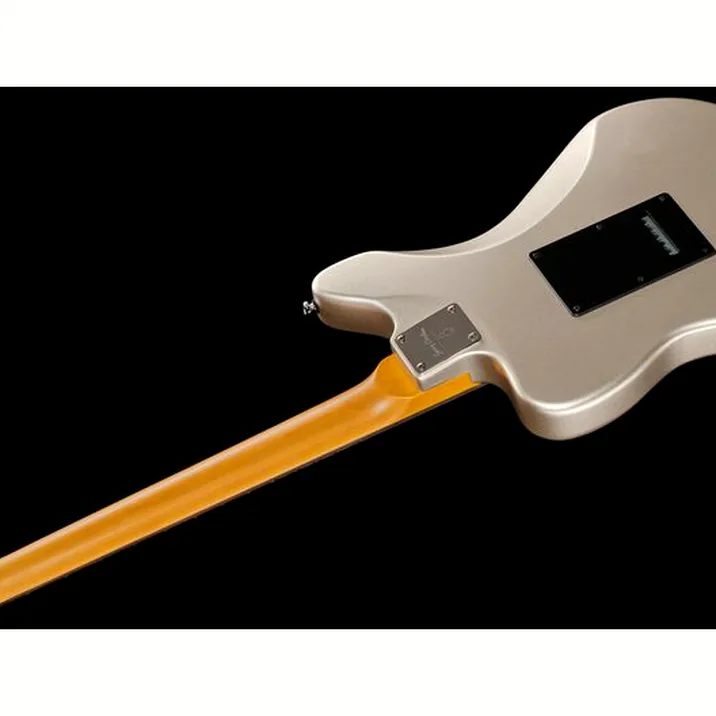 Larry Carlton J3 Silver