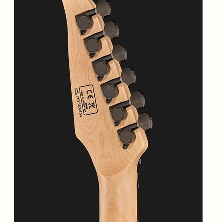 Larry Carlton X5 TBKS