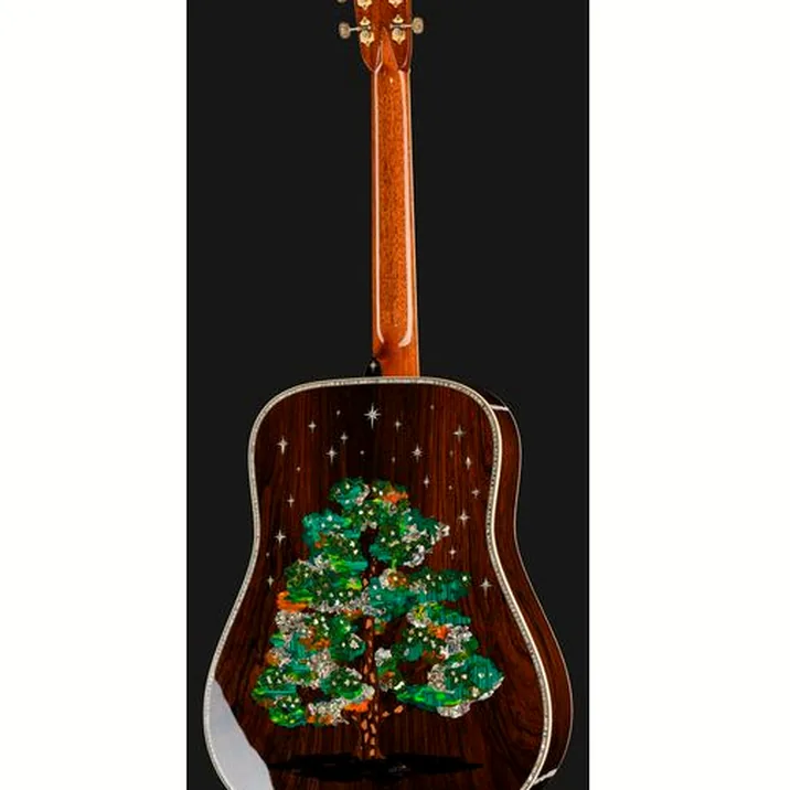 Martin Guitar D-300