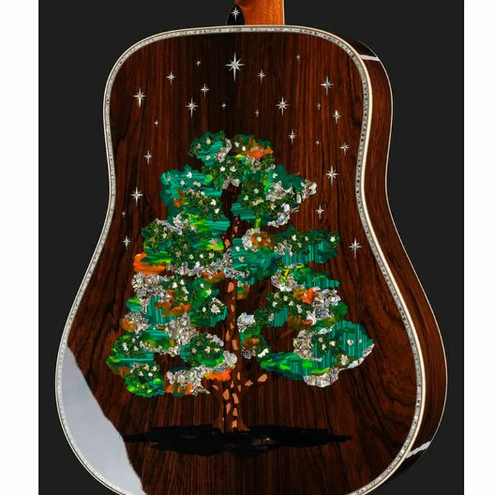 Martin Guitar D-300