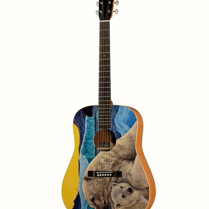 Martin Guitar D Biosphere III