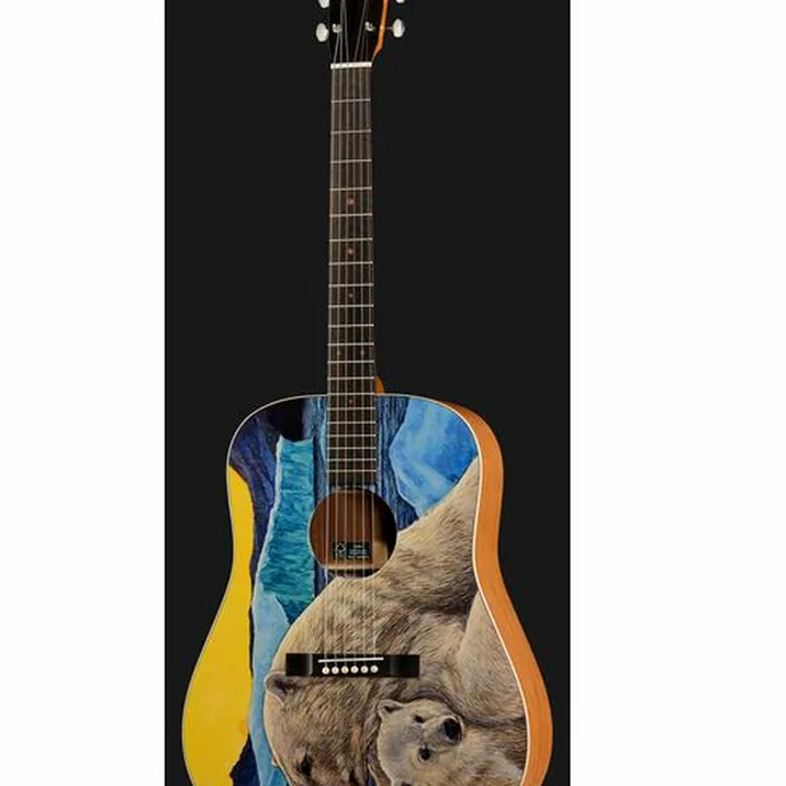 Martin Guitar D Biosphere III
