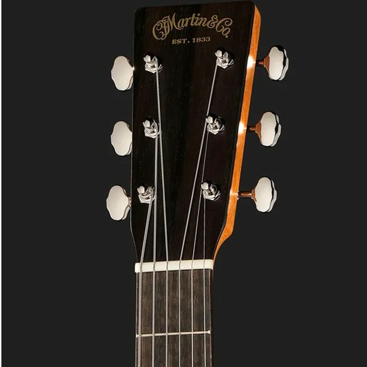 Martin Guitar D Biosphere III