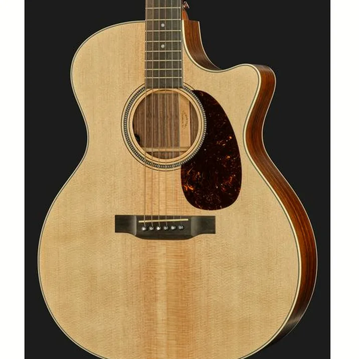 Martin Guitar GPC-16E-01