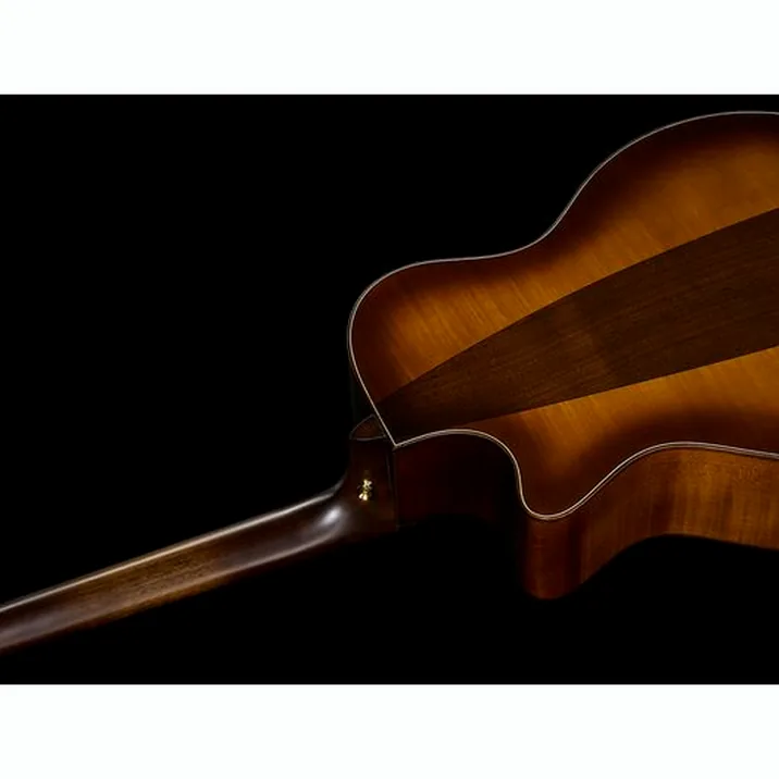 Martin Guitar GPCE Inception Maple