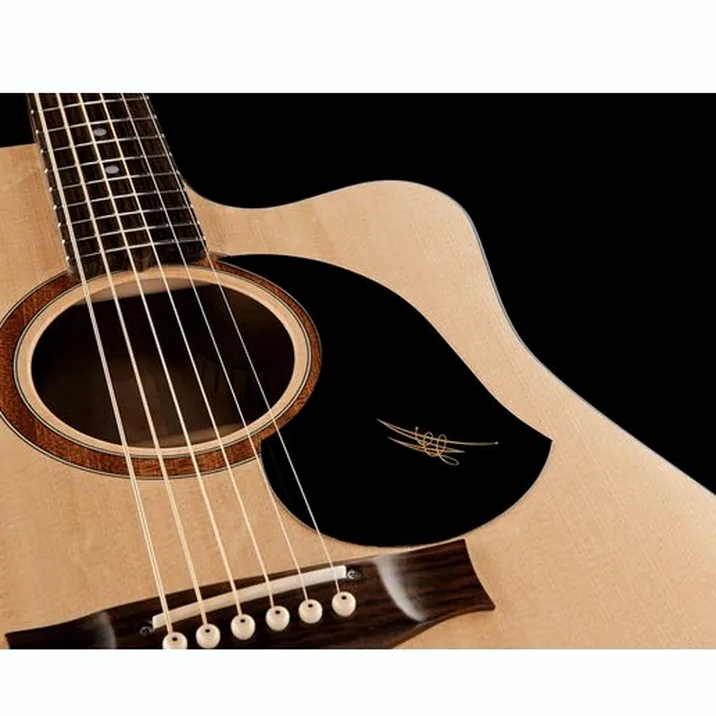 Maton Srs60C W Case