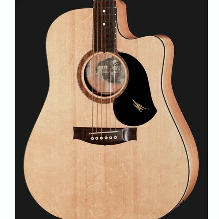 Maton Srs60C W Case