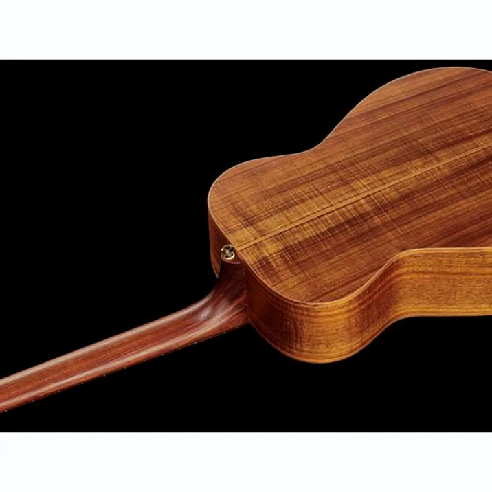 Maton The Australien Ea 808