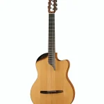 NOVA Guitars Innovator w/PU : ¿Calidad-precio imbatible para NOVA Guitars? Nuestro Test