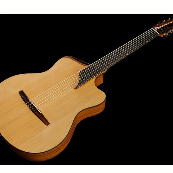 NOVA Guitars Innovator w/PU