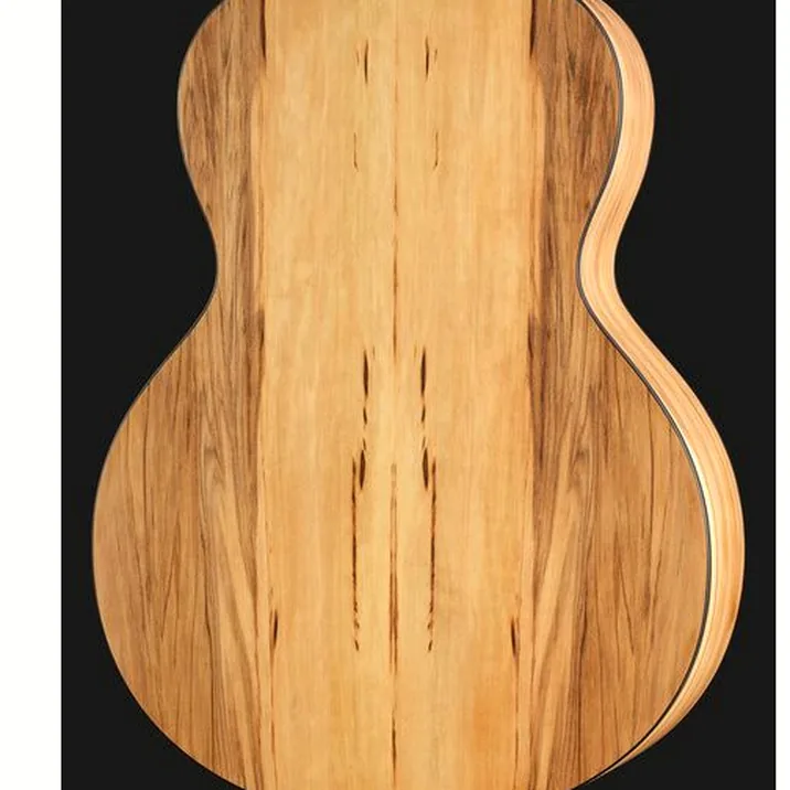 NOVA Guitars Keeper w/PU