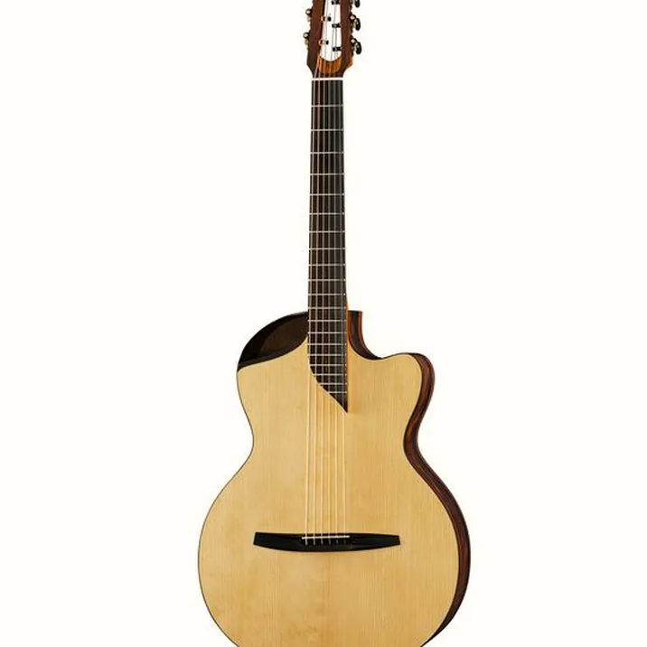 NOVA Guitars Revelator w/PU