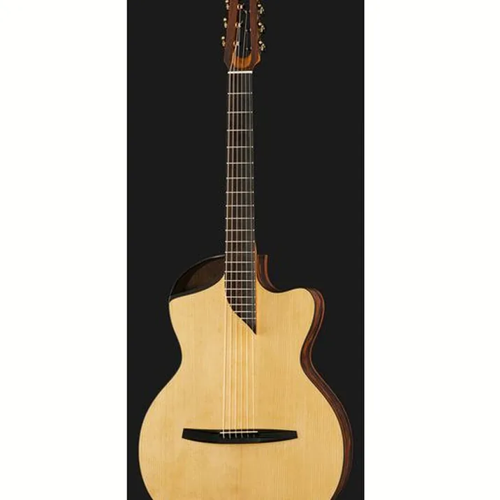 NOVA Guitars Revelator w/PU