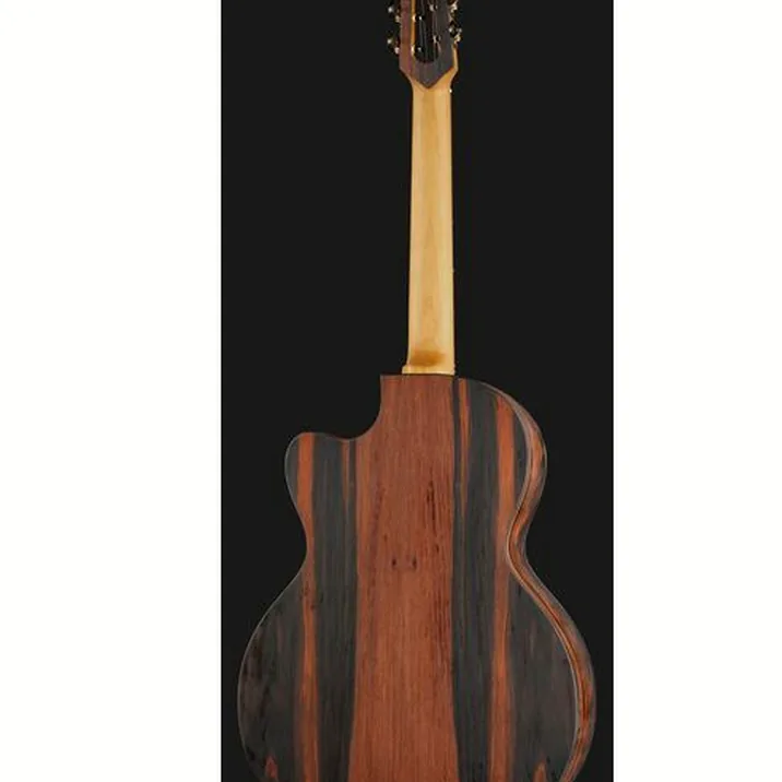 NOVA Guitars Revelator w/PU