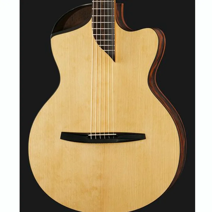 NOVA Guitars Revelator w/PU