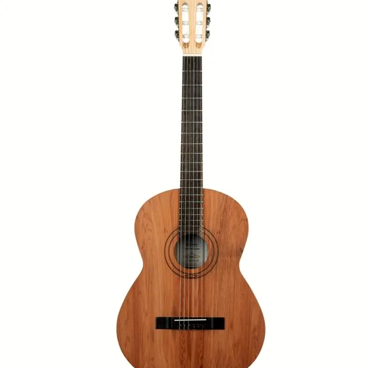 Ortega R16PC