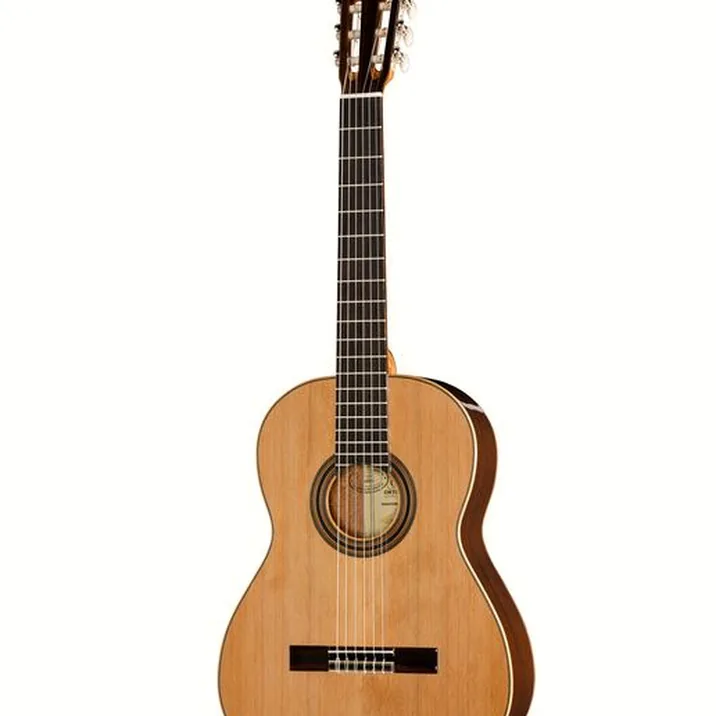 Ortega R19G