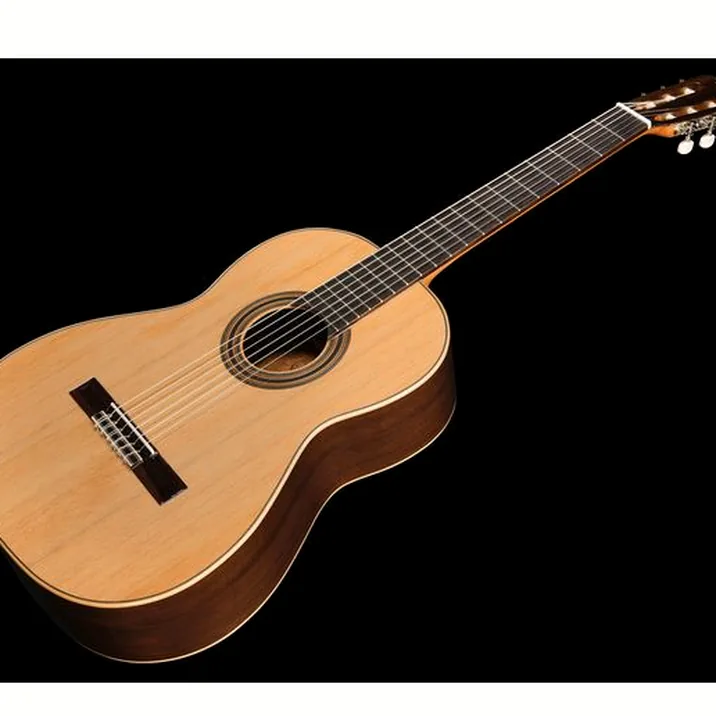 Ortega R19G