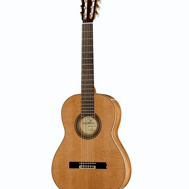 Ortega R20GRG